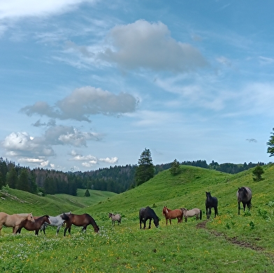 La Ferme du Berbois
