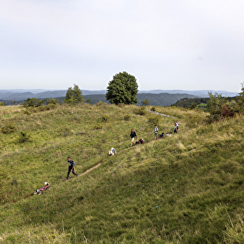 La vallée des laïkas - kart, cani-trottinette et cani-rando - LA PESSE