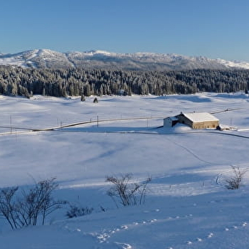 Gite Bussod - BELLECOMBE