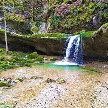 Cascade de la Vouivre - SAINT-CLAUDE
