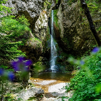 Sur les pas d'Ulysse Dalloz