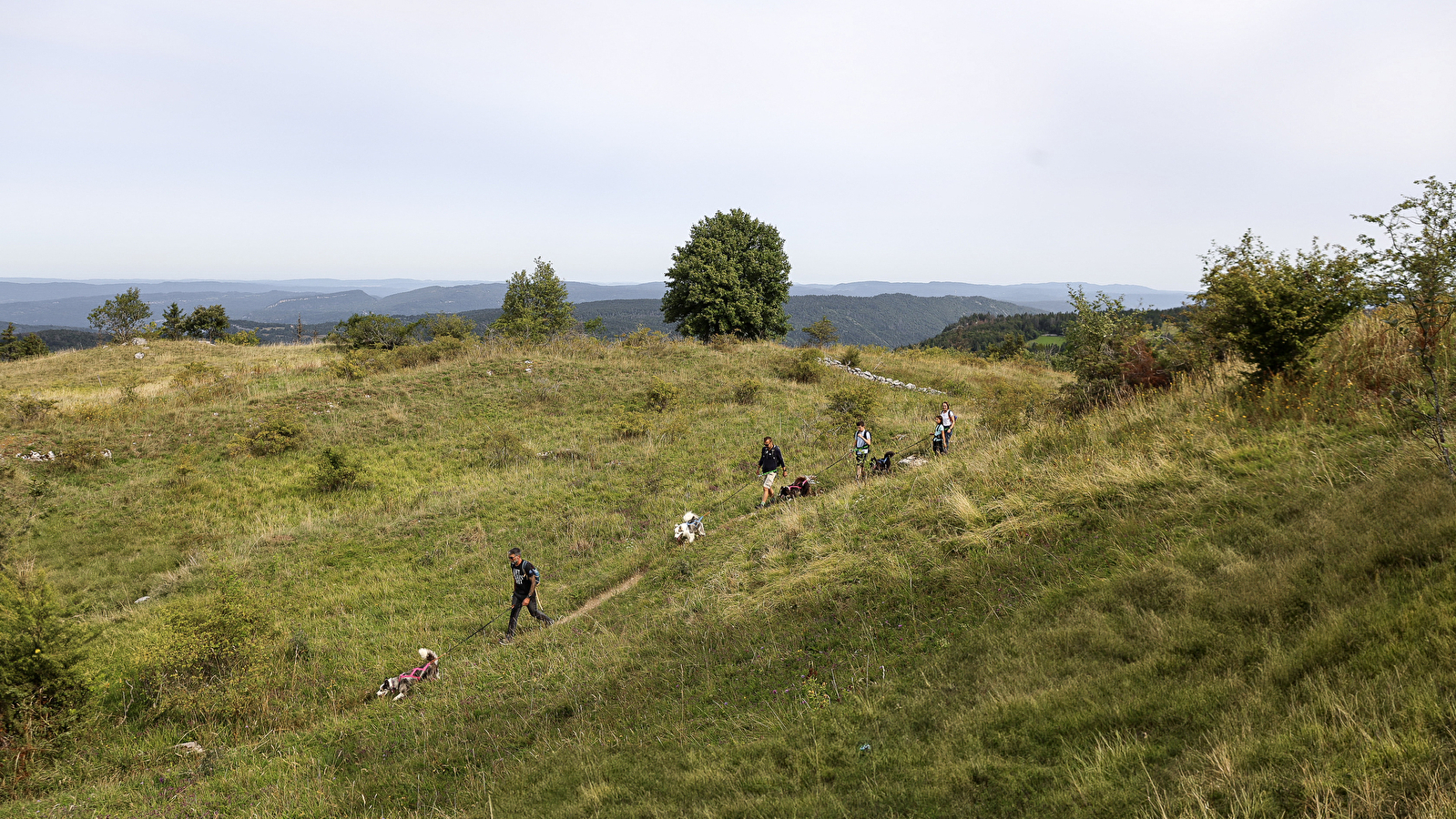 La vallée des laïkas - kart, cani-trottinette et cani-rando