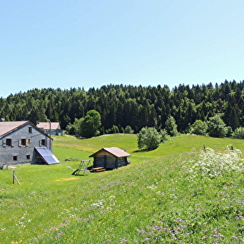 Le Cernétrou - LA PESSE