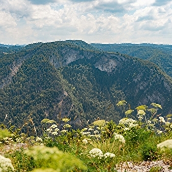 Les Grès de Septmoncel - SEPTMONCEL LES MOLUNES