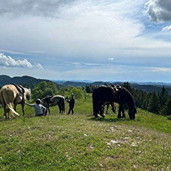La Ferme du Berbois - LA PESSE