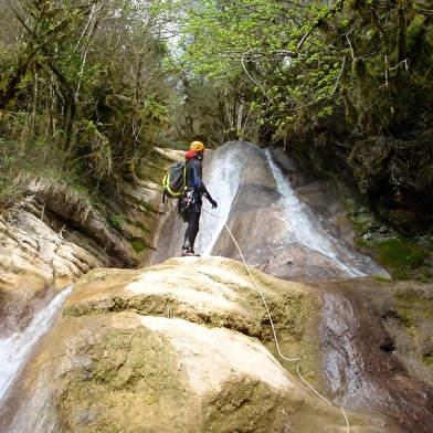 Rock'n Jump Adventure