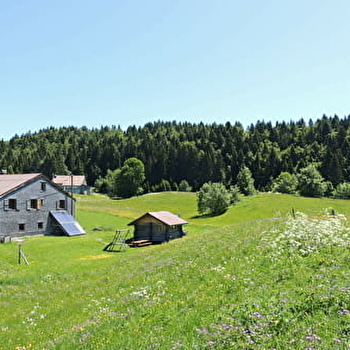 Le Cernétrou - Gîte Le Four à Pain - LA PESSE