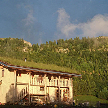 La Ferme au Chapeau Vert - LES BOUCHOUX