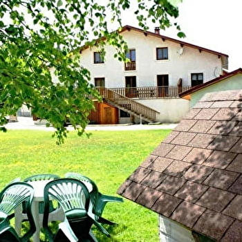 Les Jonquilles - LA PESSE