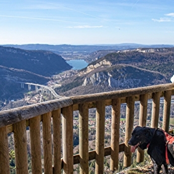 Guide touristique local avec Patte sur l'aventure - DORTAN