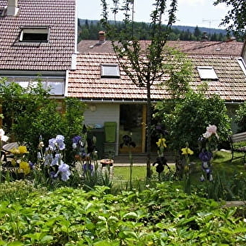 La Traverse - SAINT-CLAUDE