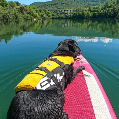 Guide touristique local avec Patte sur l'aventure