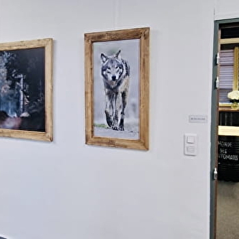 Galerie des Artistes - SAINT-CLAUDE