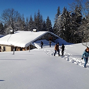 Gîte Les Roches d'Orvaz - BELLEYDOUX