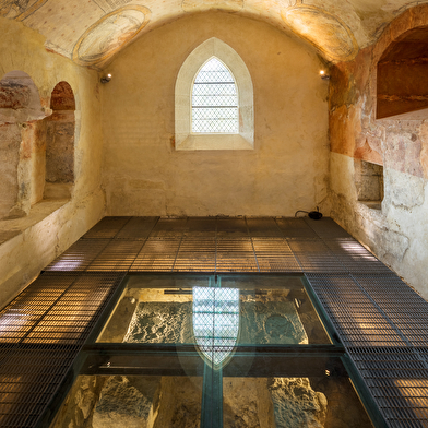 Musée de l'Abbaye - Visite guidée du sous-sol archéologique