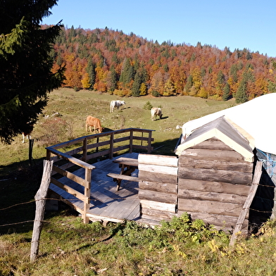 La Guienette - Yourtes