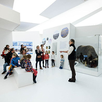 Musée de l'Espace des Mondes Polaires Paul-Émile Victor