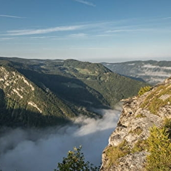 Sentier des Chamois du Jura - SEPTMONCEL LES MOLUNES