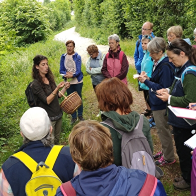 CPIE - Centre permanent d'initiatives pour l'Environnement du Haut-Jura
