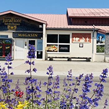Fromagerie du Haut Jura - LES MOUSSIERES