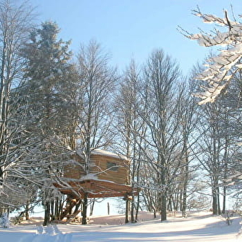 Les Loges du Coinchet - Cabane perchée - LA PESSE