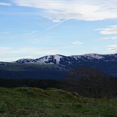 L'Estive des Platières